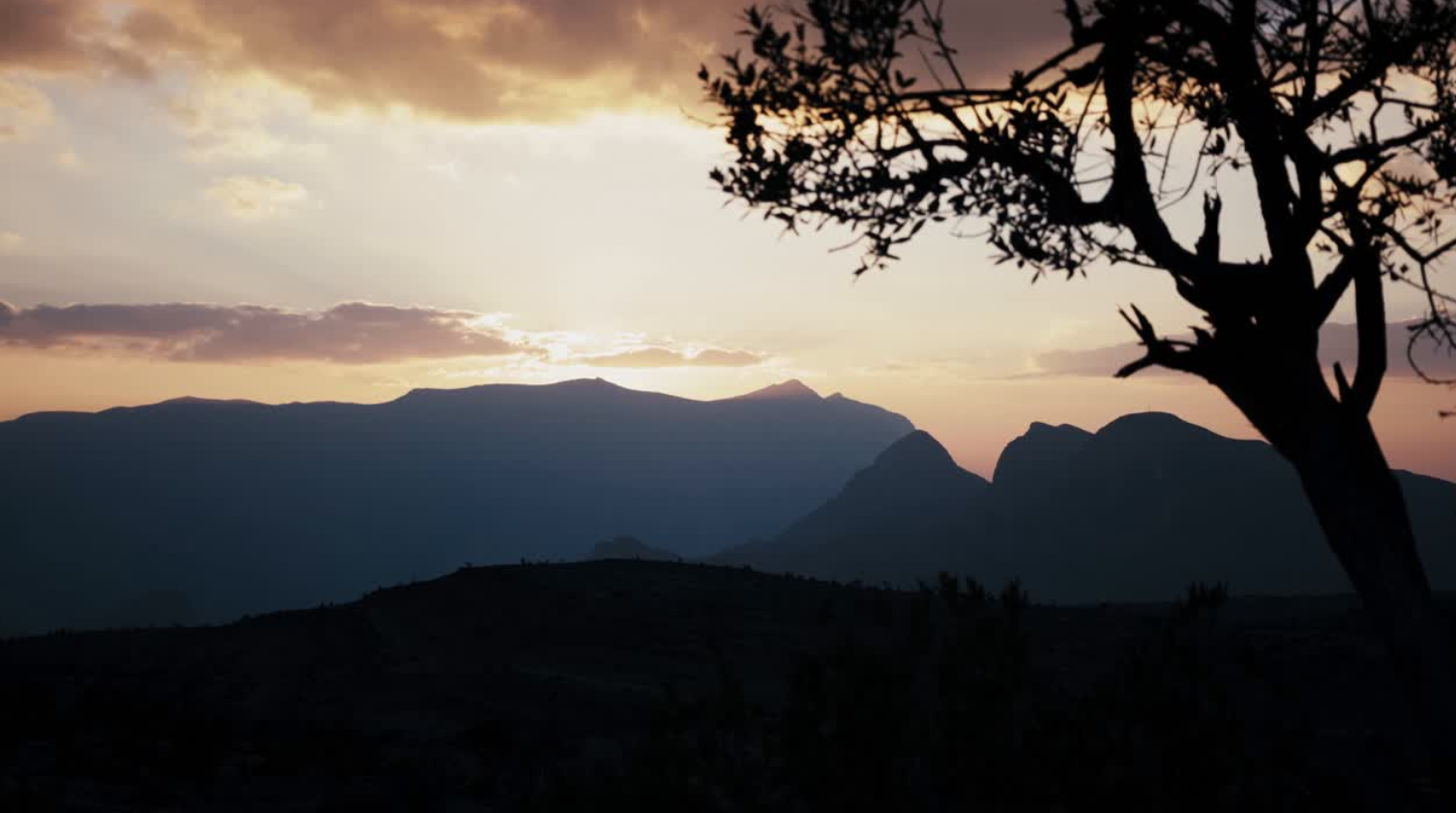 Sunset in Salalah with mountains in the distance and a Boswellia sacra tree